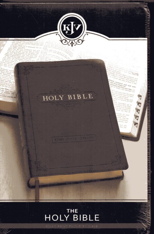 KJV the holy bible