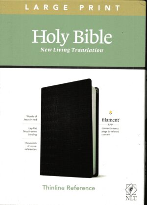 holy bible large print
