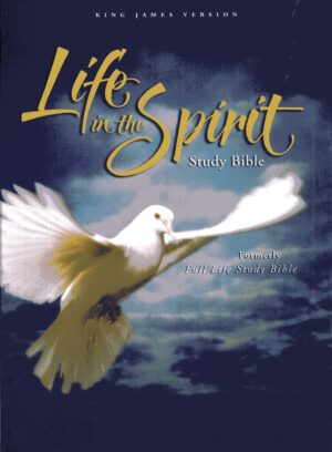 lilife in the spirit LEATHER COVER