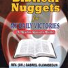 Biblical Nuggets My Daily Victories